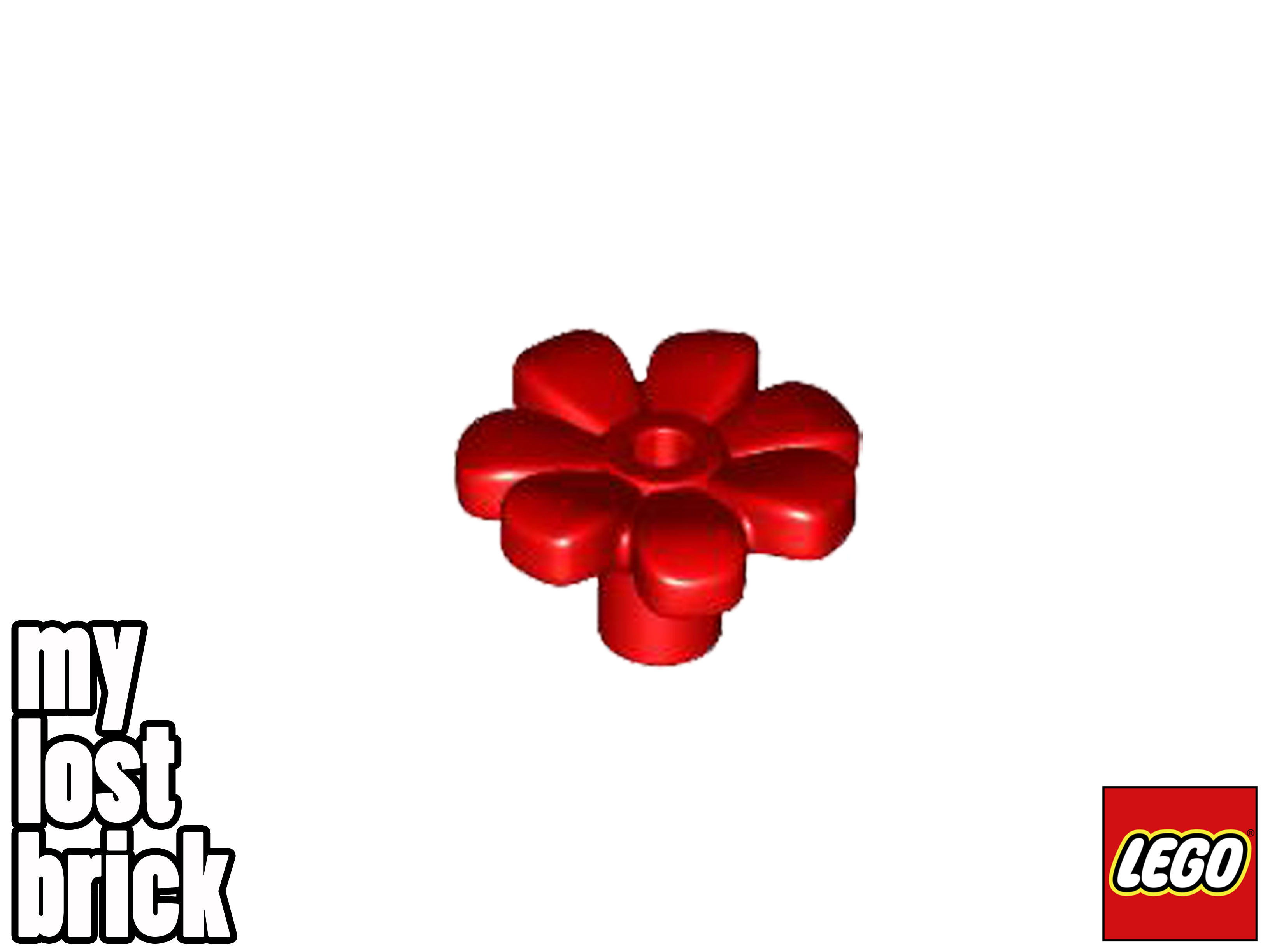 Bild 7 von 8